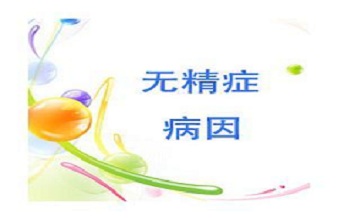 无精症不能人工授精吗,梗阻性无精症只能试管吗