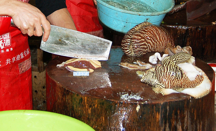 红螺也叫椰子涡螺，潮州旧志称其“壳红肉劲”，很考较厨师的工夫