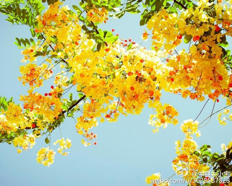 当你痛经很疼时,痛经的痛谁懂