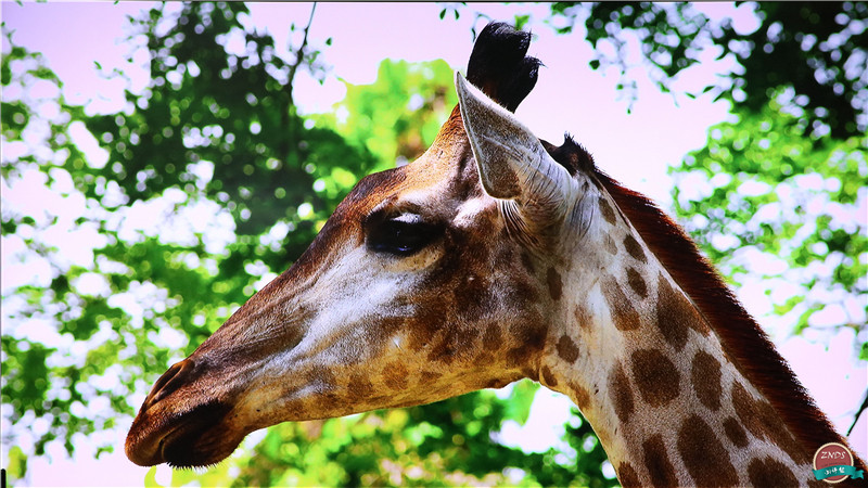 高颜值，大内存！全能影音小霸王—开博尔芒果月光宝盒X5评测