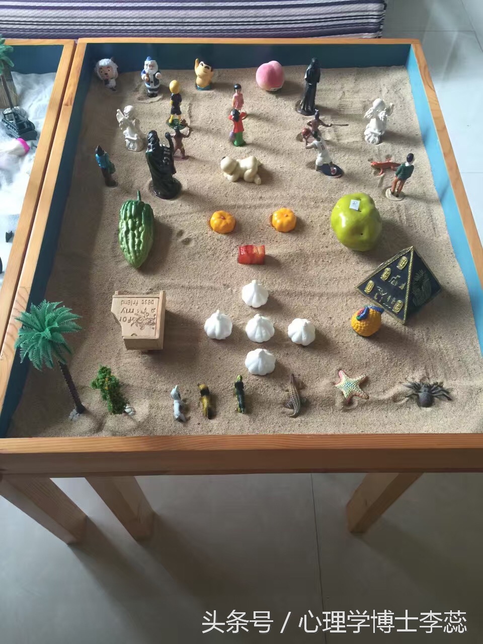 李蕊因为什么化疗,李蕊的事迹简介