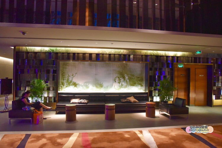 深圳美食广场推荐,深圳美食仙境打卡地