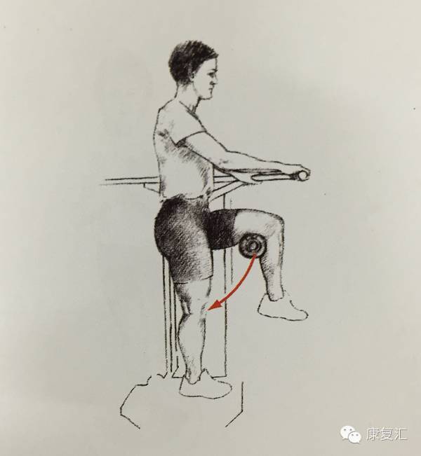 前交叉韧带重建术后还能打球吗,前交叉韧带重建术后康复训练pdf