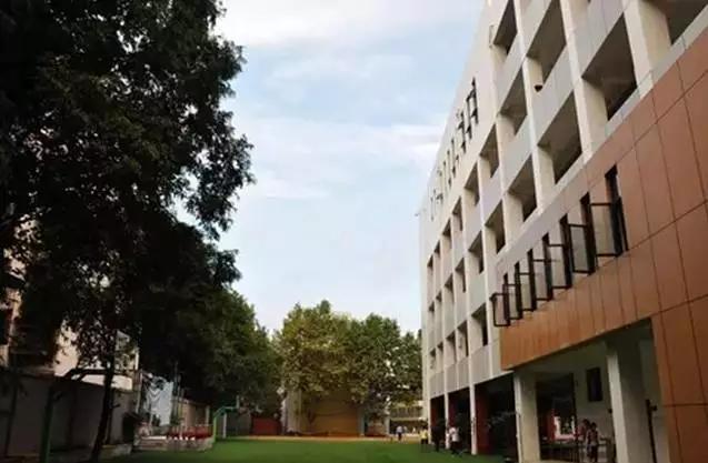 金牛三驾马车,成都市金牛区小学梯队排名