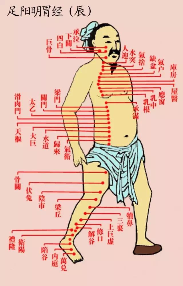 三七粉祛斑么,三七粉可以祛斑不