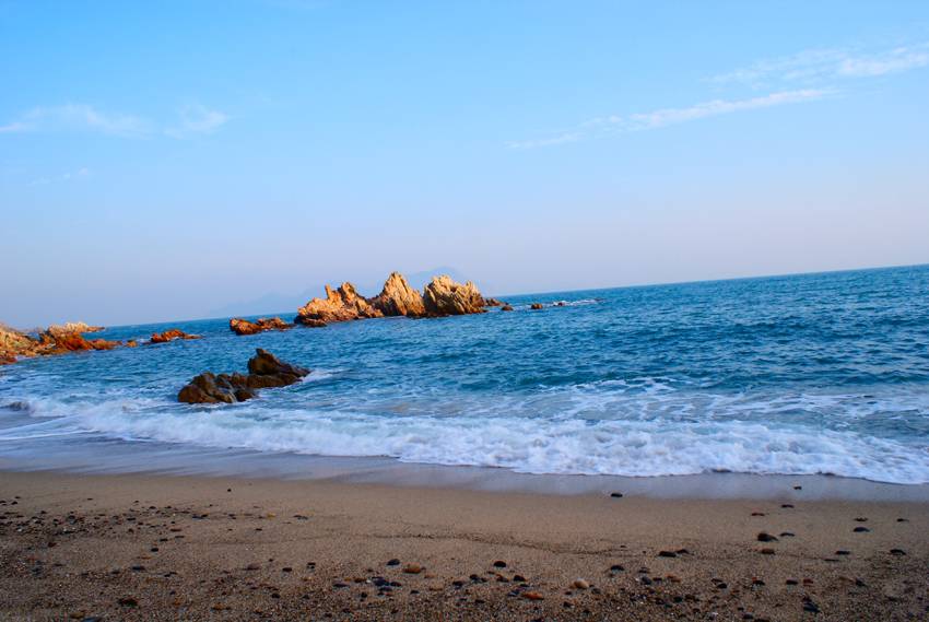 国庆带狗狗适合去哪玩,国庆狗狗出去浪