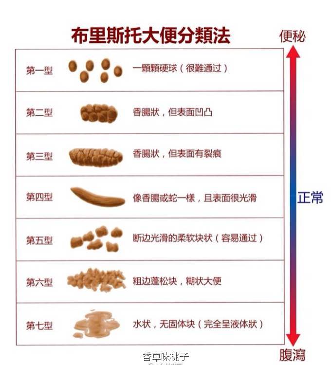 下雨天救助流浪猫,救助流浪猫一定要给猫咪定期驱虫