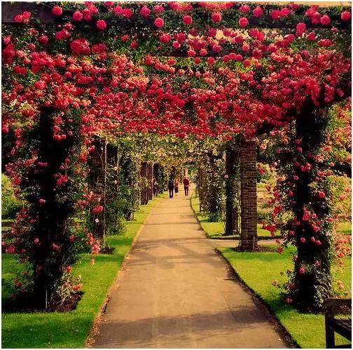 假期锦囊的图片,春节回家锦囊