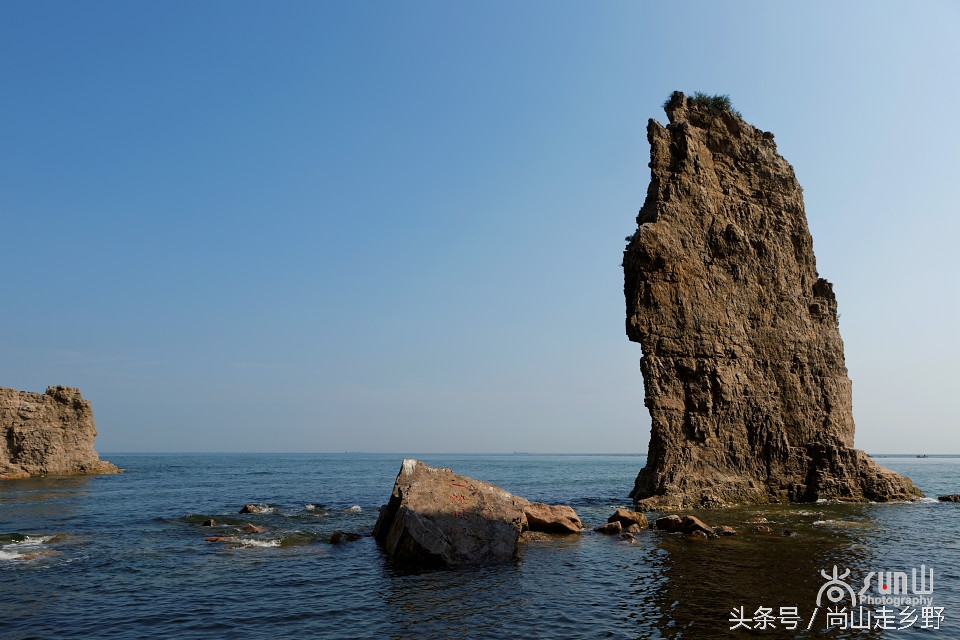 这座没有居民的小岛，是海鸥的王国，为何却叫海驴岛？