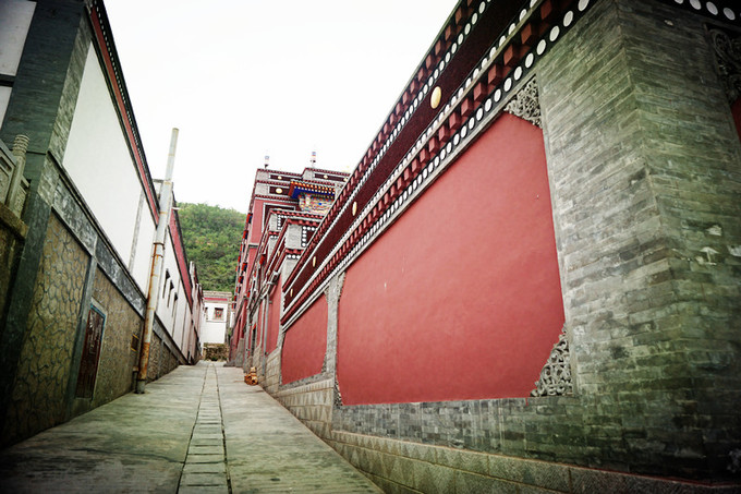 青海大西北之旅 (西宁青海湖张掖敦煌夏季之旅)