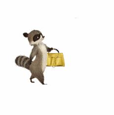 旅行时的规则和关注事项,旅行时要遵守的规则