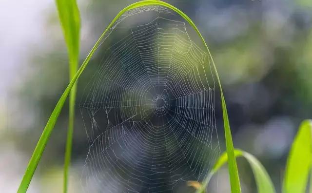 乡村纪实：上吊自杀的英姐
