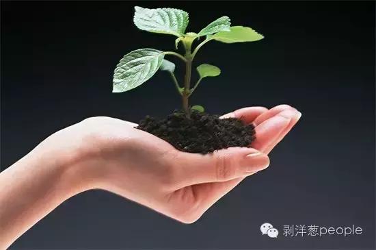 缺陷儿如何处理,缺陷儿童有哪几种