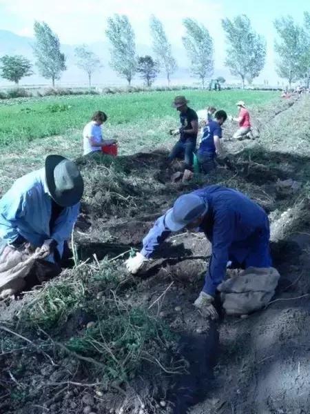 美国深泉学院的真相,深泉学院口碑怎么样