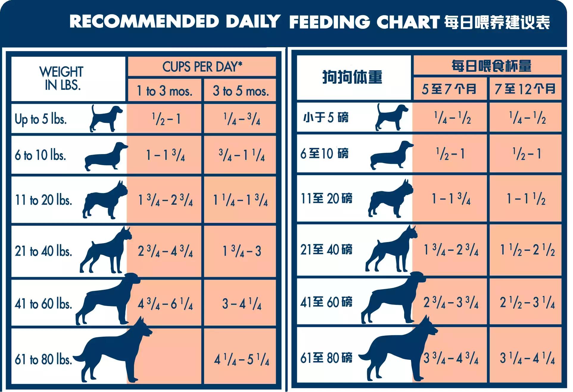 狗狗太瘦不爱吃狗粮怎么办,狗狗最近不怎么吃狗粮而且瘦了