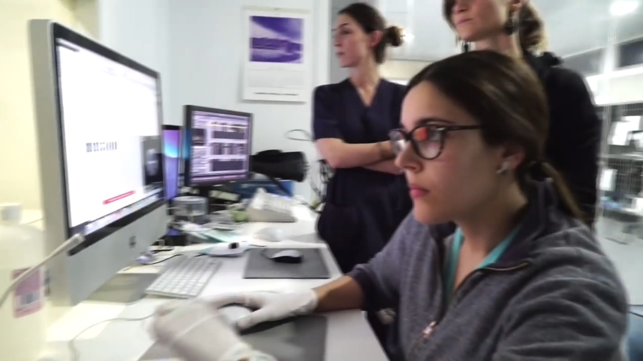 狗狗生病头部一直跳怎么回事,狗狗头部受伤后多久能恢复