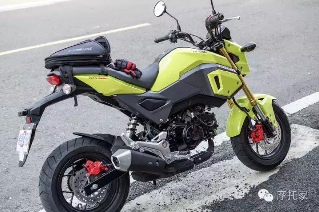 摩托家／交友需谨慎，中毒就是钱！——本田MSX125SF