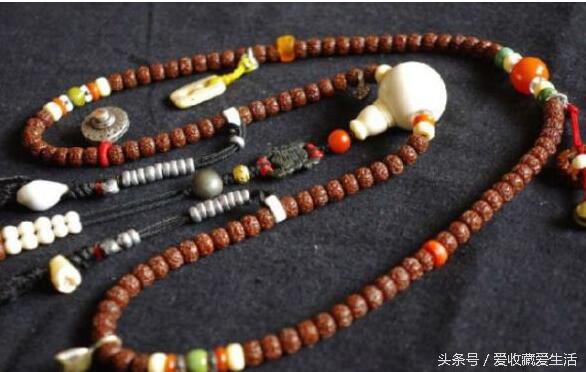 小金刚菩提深度清理方法,小金刚菩提清理不干净