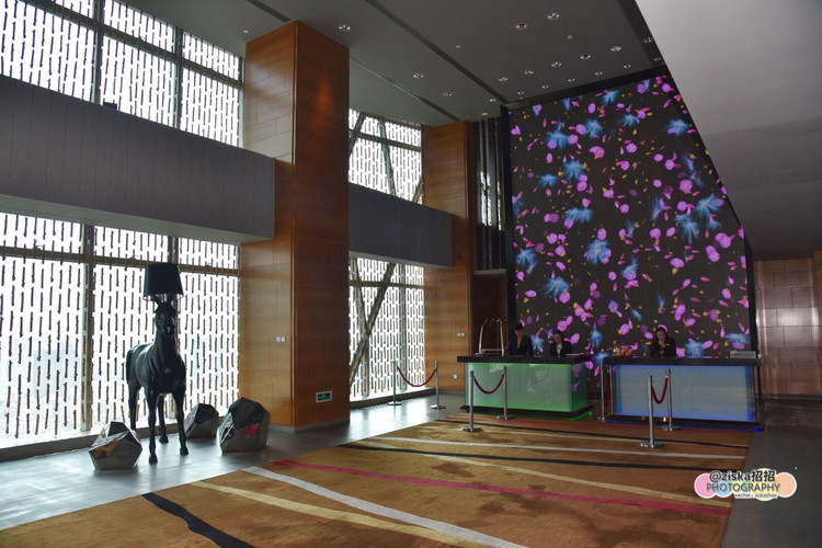 深圳美食广场推荐,深圳美食仙境打卡地