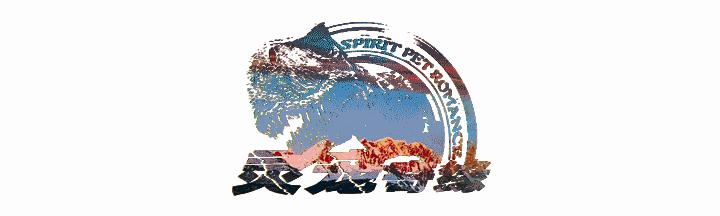 球蟒基因图鉴入门,变异球蟒图鉴