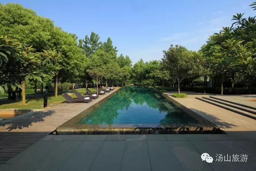 究竟是什么让你对汤山念念不忘呢？