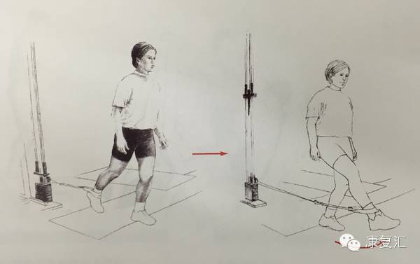 前交叉韧带重建术后还能打球吗,前交叉韧带重建术后康复训练pdf