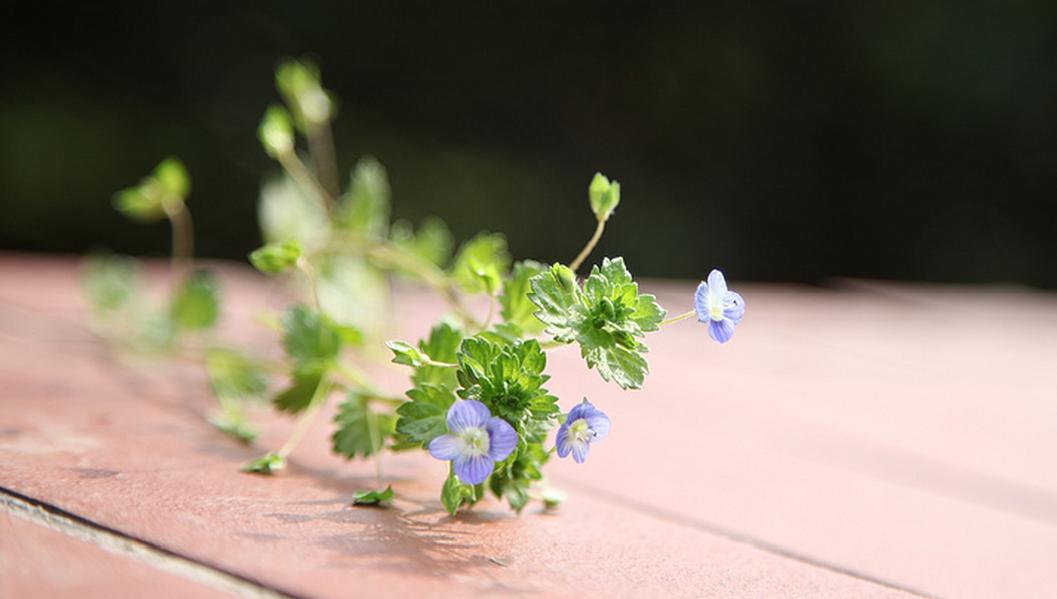 抑郁症的10个前兆抑郁症难治吗,警惕非典型抑郁症关注事项