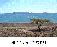 何为虹吸现象,马桶虹吸现象的原理