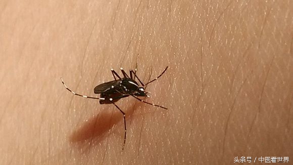 胳膊上突然出了一条长线怎么回事,手臂突然出现一条红线是怎么回事