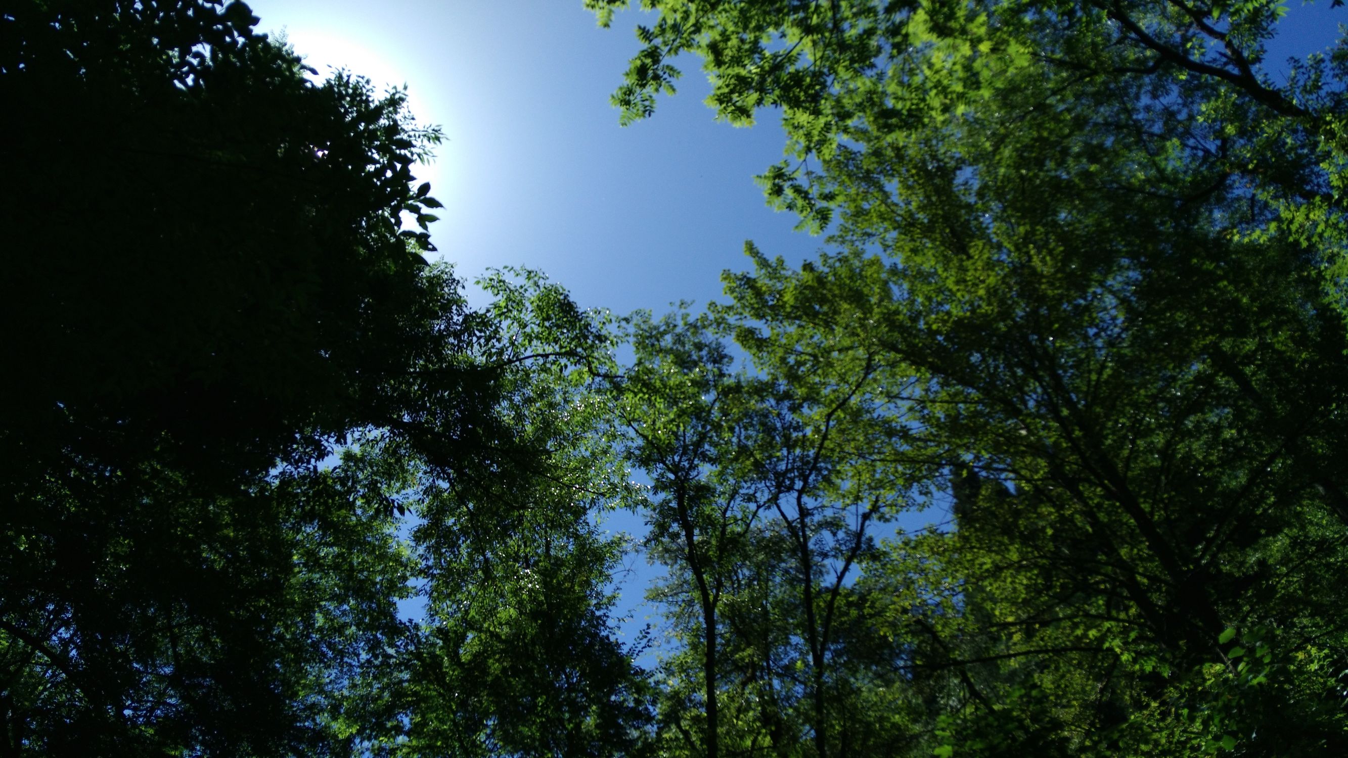 千元机z9,努比亚z9mini有nfc功能吗