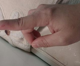 发现金毛爱咬人后，主人这样做帮它改掉坏习惯！