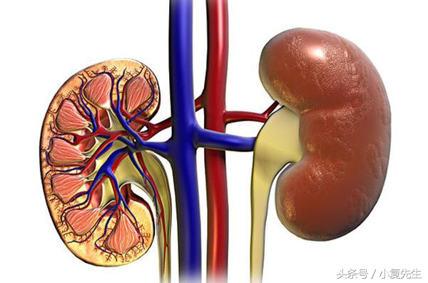慢性肾病患者的营养与饮食管理,慢性肾病最佳饮食方法