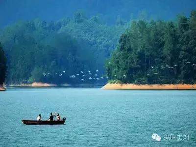 广州最好的温泉度假酒店,广州适合的休闲度假酒店