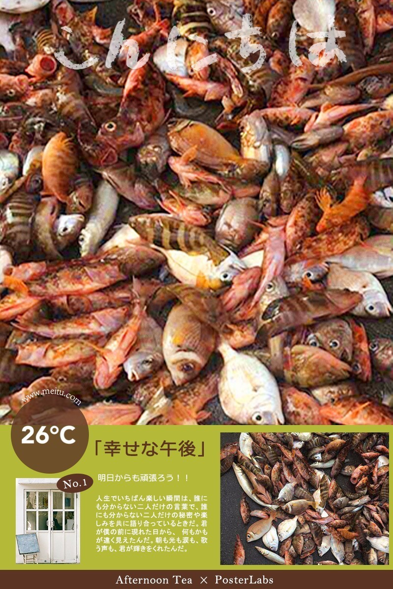 石狗公鱼特征,石狗公鱼多大