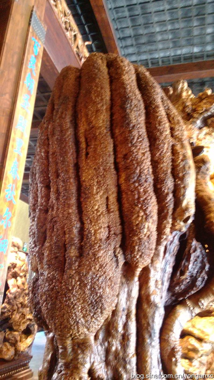 开化根宫佛国免费游玩,衢州开化佛国视频