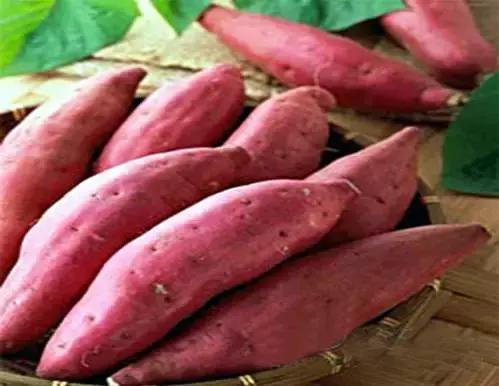 健康养生食物你学会了吗,24种健康养生的食物