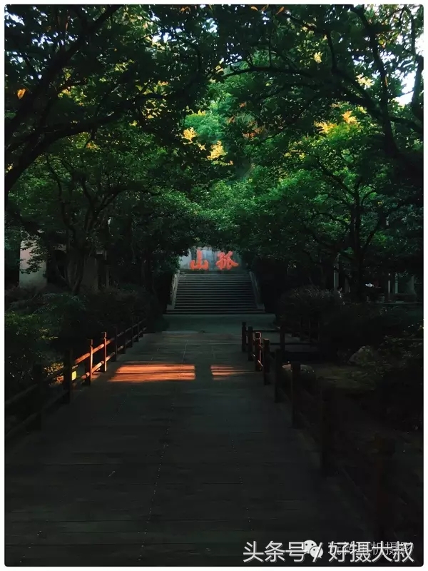 十个秘诀让你用手机拍出好照片,揭秘手机拍出好照片的三大技巧