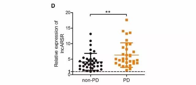 文献数据分析图表详细教程,医学数据如何整理分析