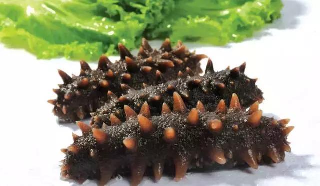 吃海鲜攻略,吃海鲜应该去哪里吃