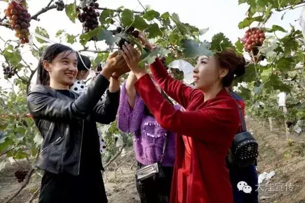 盘锦大洼游玩,蒙山旅游度假区大洼景区
