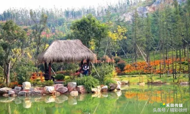 最美的5个赏桂好去处,不错过金秋赏桂好时节