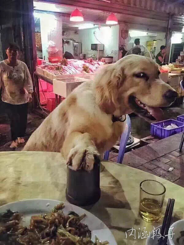 今天是我生日，我决定要破费一下