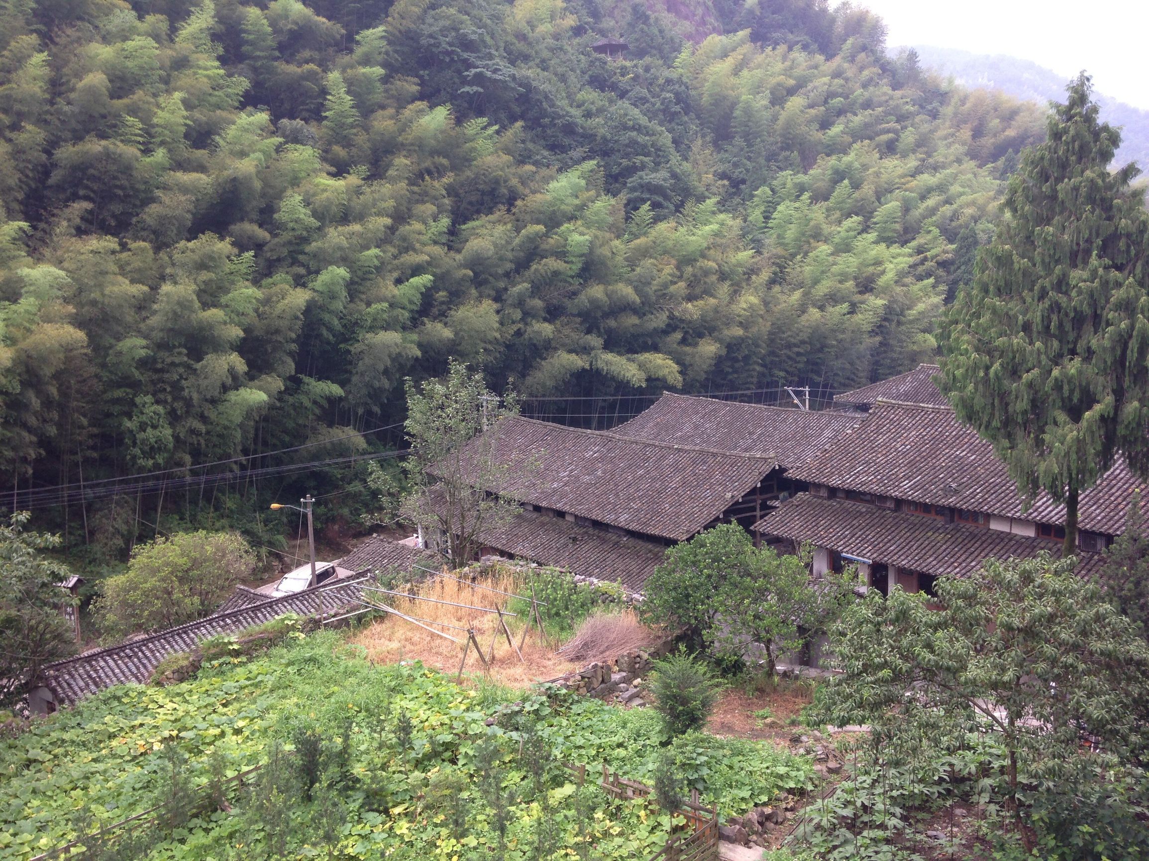 楠溪江周边酒店民宿哪家比较好,旅游休闲好帮手