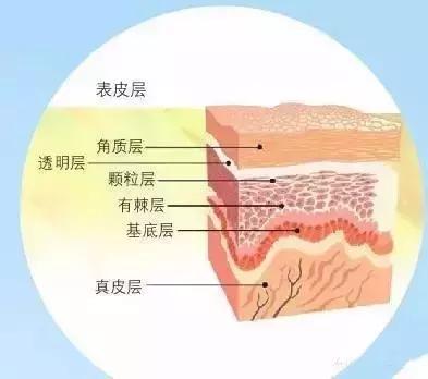 不想变黄脸婆该怎么办,不想变黄脸婆怎么护肤