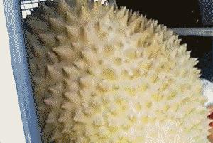 到底还是美女受欢迎！