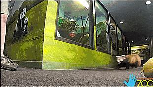 技能贴！教你如何和男朋友分手