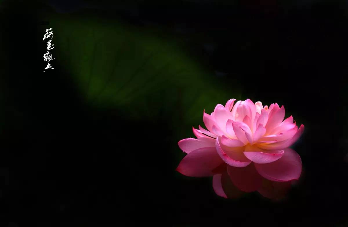 佛教参观景德镇,淄博佛教故事