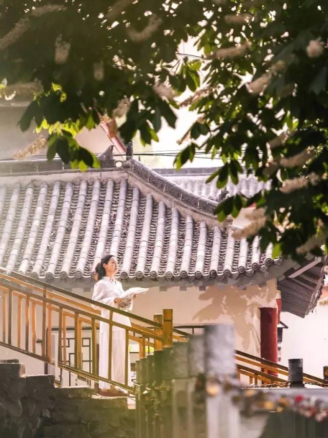 千年神树开花结果,千年神树