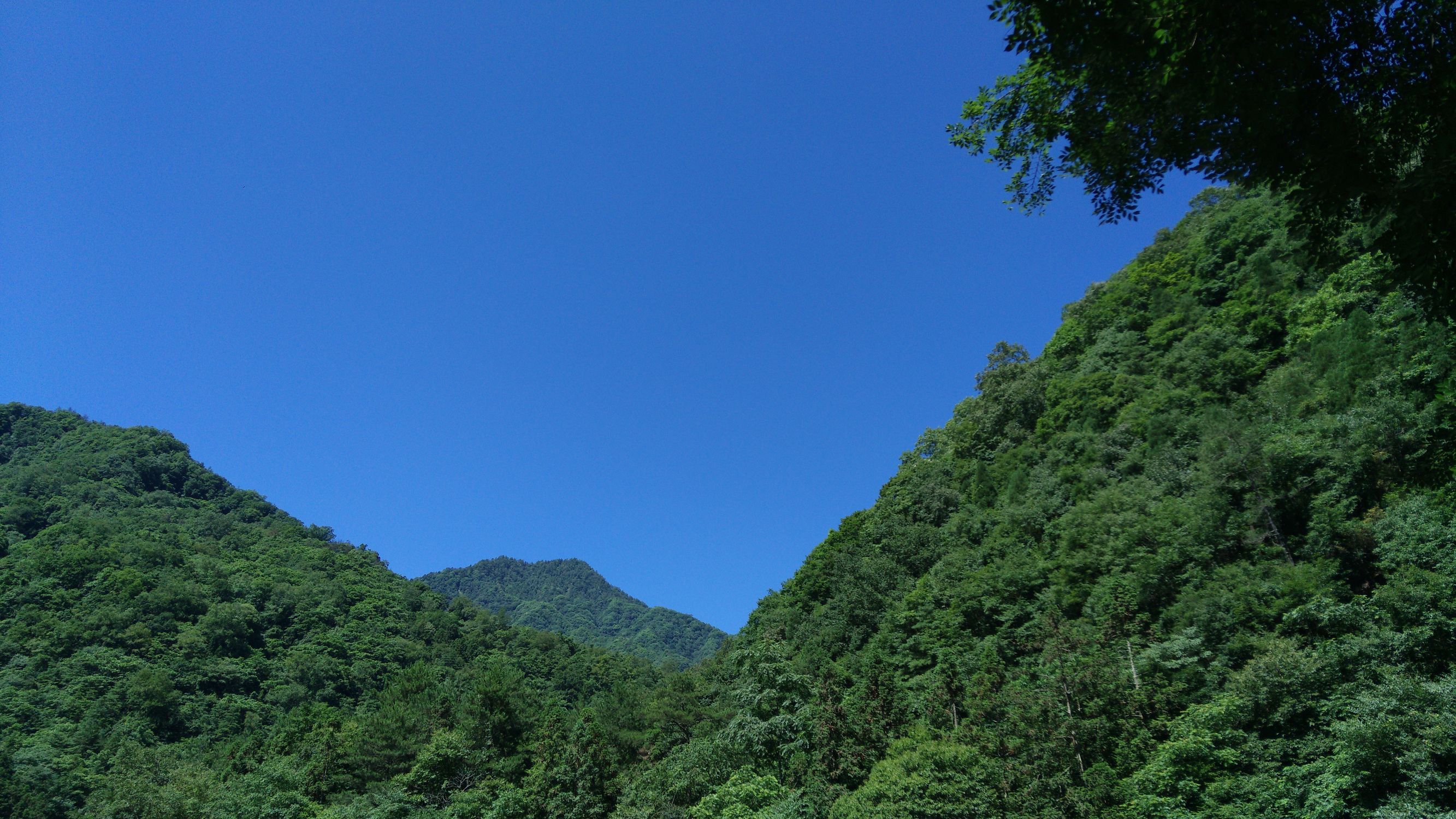 千元机z9,努比亚z9mini有nfc功能吗