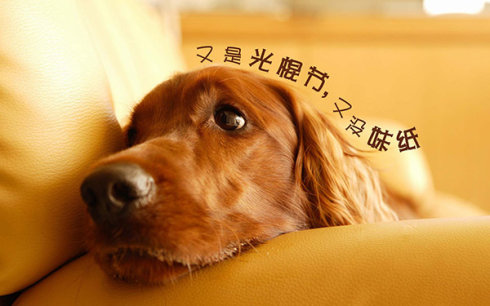 搭讪儿遇到女孩儿说“我有男朋友了”就这样办！